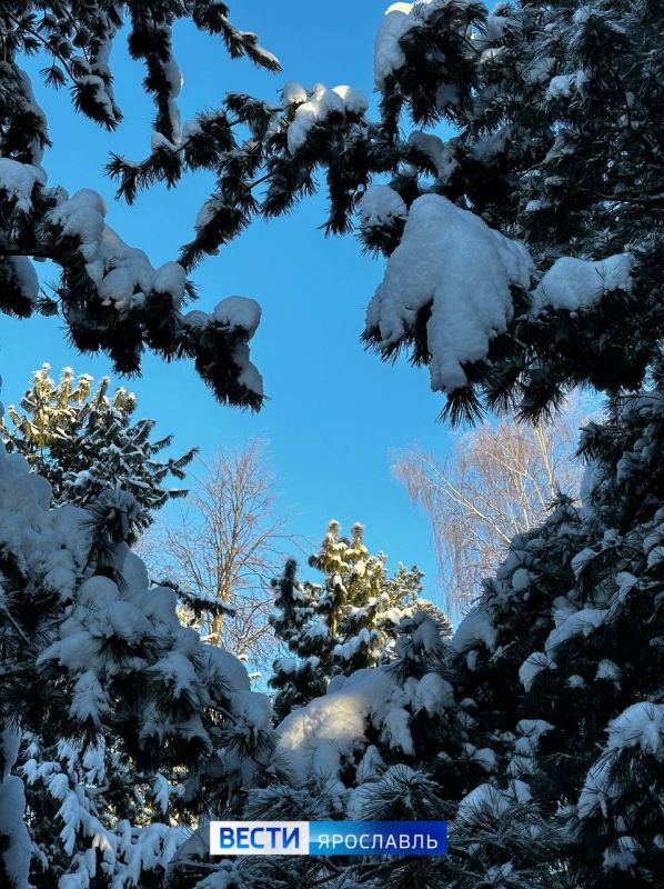 ������ ����, ���������!. ����