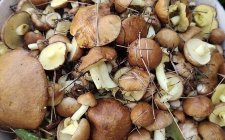 �������� ������: ��� ���������� ������ ���� ����� ����� ������