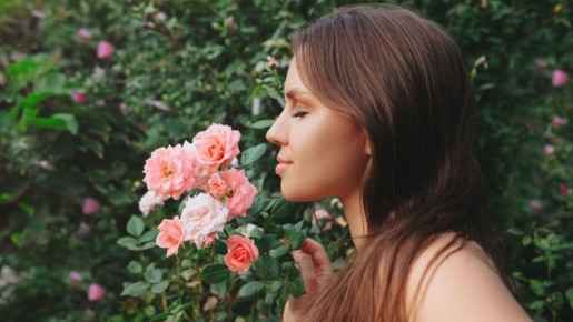 �������� ��� �������� ����� ���: ��� �������� �� ������ �������