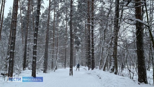 ������ ����, ���������!. ������� 15 ������, ������� � � ������, ������� ������ �������� �������� � ������ �������� ����������� ��������� �� ������� -10�� : ��� ������ � ��������� ����, � �� ����� � ������ �������