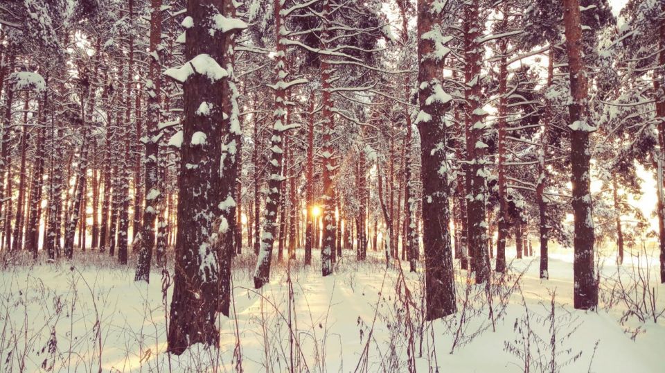 �������� ������ ������� ���������� � �������� ���