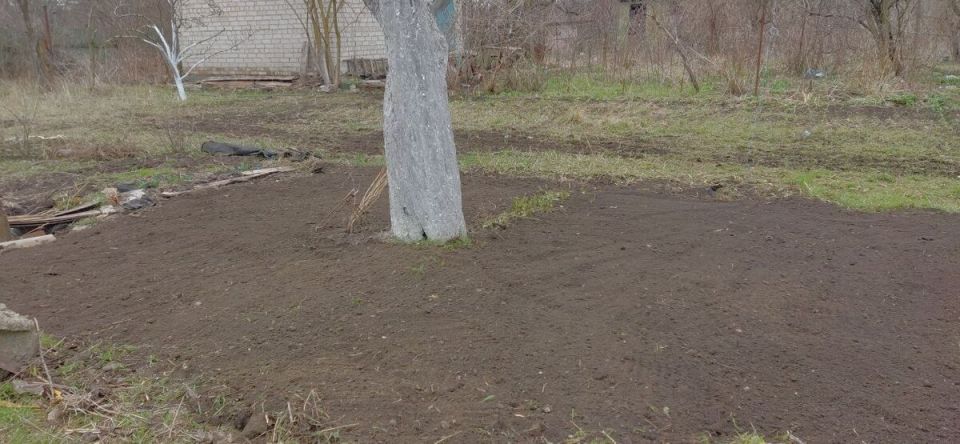 ��� ������� ����������� ��������� ������ ���� � ��������� ����