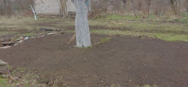 ��� ������� ����������� ��������� ������ ���� � ��������� ����