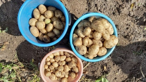 ��� �������� ��������� ������ ��������� ����� �� 90 ����: ������� ������ ������