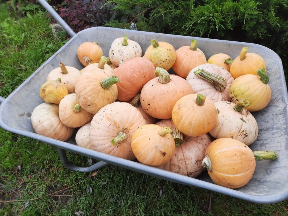 �����: ��� ��������� ������ ���� � ��������