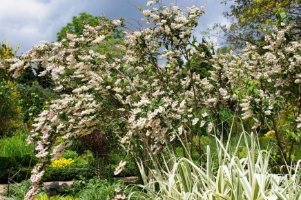 �������������� ������� �����: ������ � ������� ��� ��������