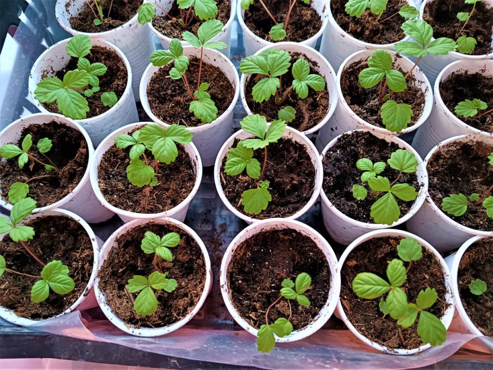 ������� � ��� ���� �� ������ ������!