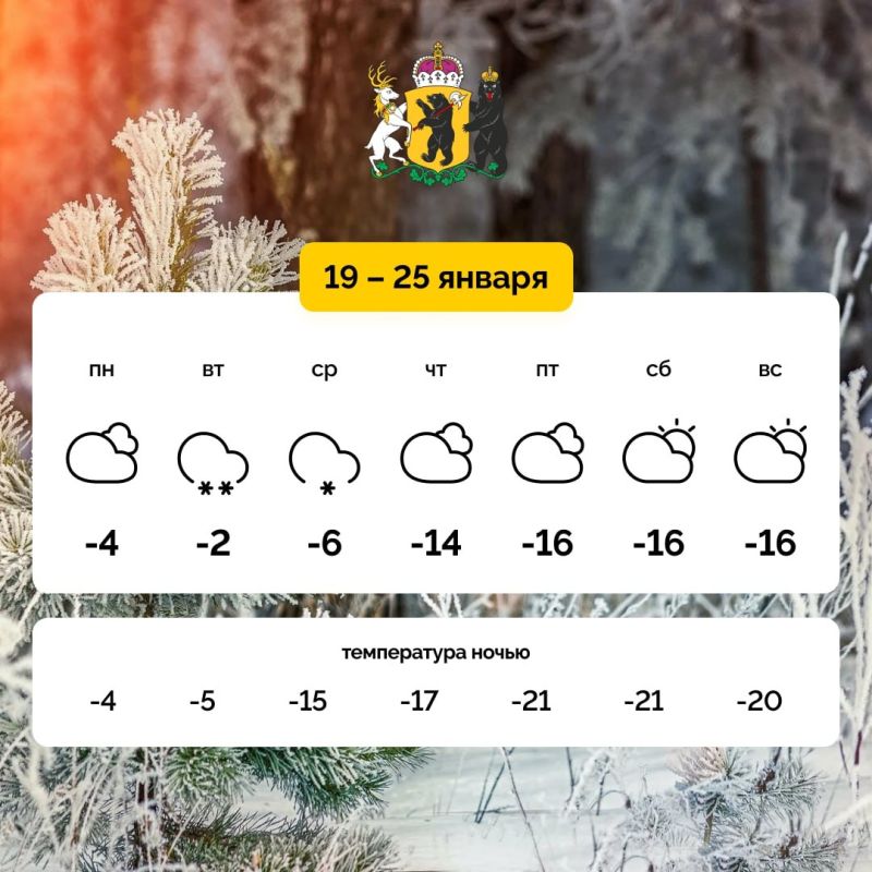 Впереди морозная неделя!