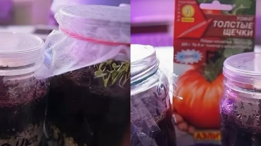 ��� ������������ ������� � ������ ������� ��� ���� �����������