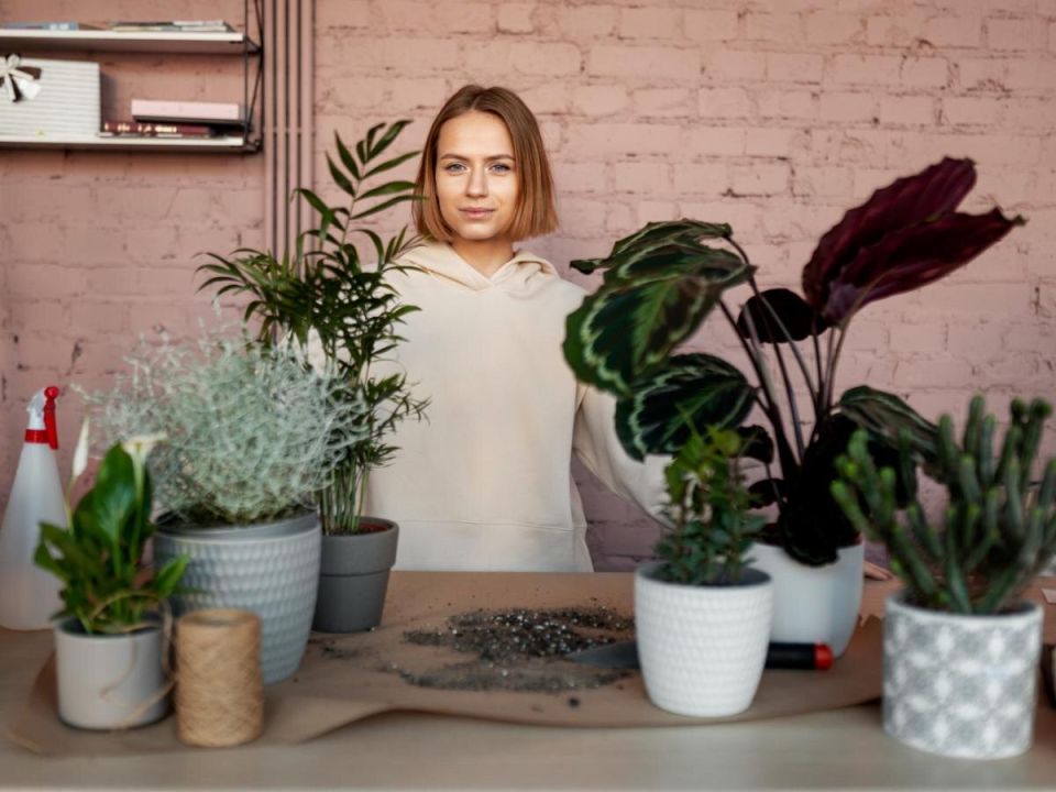 �������� ��������: ������� ������� ��� �������� ��������� ��������