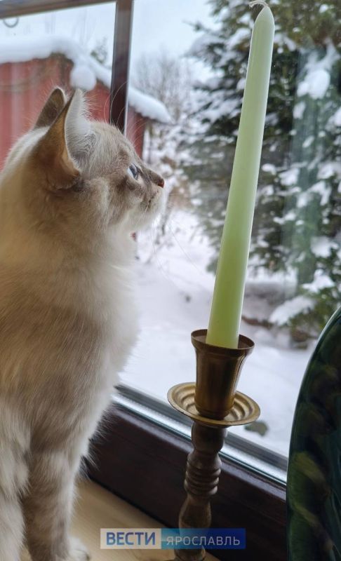 � ������ �����, ���������. ���� ����� �����������, � ������ ���������� �� ������, ��� �������� ����������� ������ �� ��������� � �� ������������ ������� �� ����� � ��������� �������� ����������� ��������