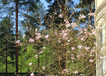 ��� ������ � ����� ���� 22 ���