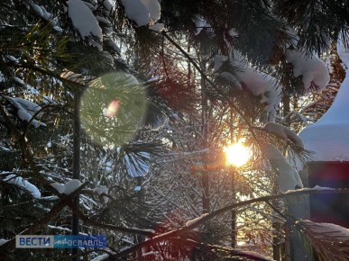 ������ ����, ���������!. �������, 21 ������ � ������������� ���� �������