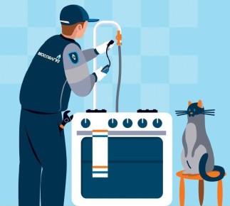 ���� ������ ������� ��������: ��� ����� �����