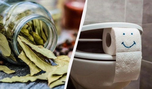 �������� ����: ����������� ������������ ��� ������� ������ �������