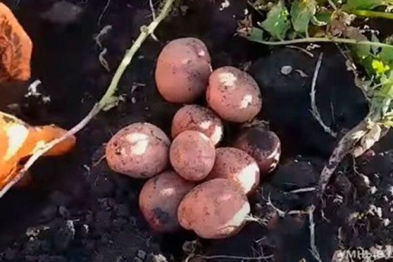 ��������� � ����������� ��������� ������