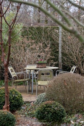 Сад, который радует круглый год