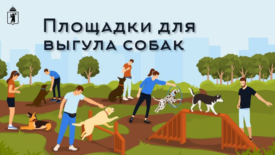 В Ярославле функционируют 24 официальных места для выгула собак