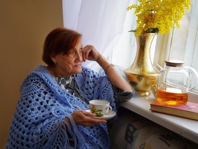 ���������� ������� 2026: ��� ������ ������������ ������� ��� � ���� ����