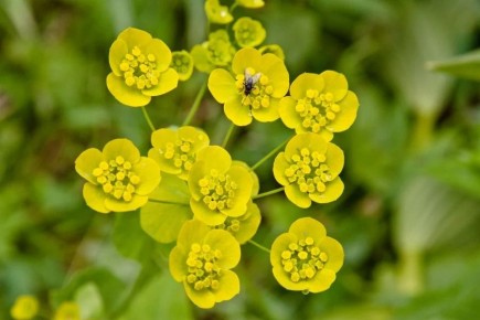 ����� ��� �������: �������� �� ������� ����� �� ����� ������������