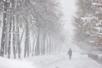 ��������� ��������� � ����� �������� ���� � ��������