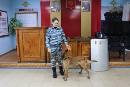 � ��������� ���������� � �������� ����������� ����������� ��������� �� ����� ������� � ������ ����� "������������ ������"