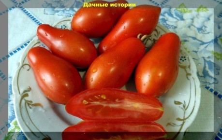 ����� ������ ������: ������ ������ � �������� � �����