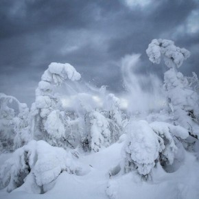 ������� ����������� ������� ������������ �� ��������� ������