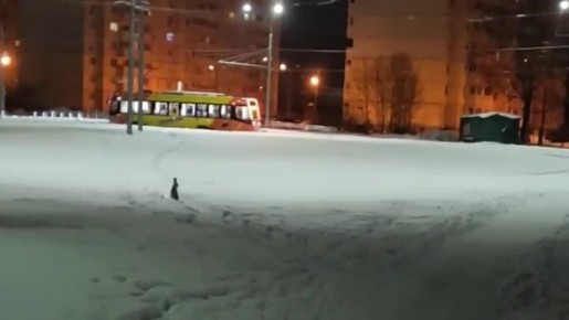 ������ ��������� ��������� � �����