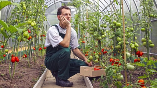 ��� ��������� ���������� ����� �������: ������������ ���������� �� ��� ����