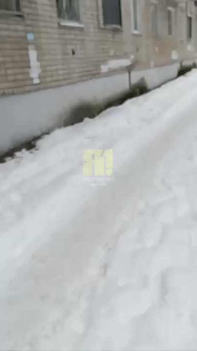 ����� ������������� ����������� ������������ ������ �. ��������� ����������� ��������� ��������� ������ �� ����� ����