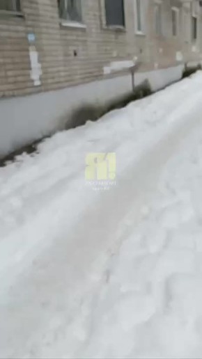 ����� ������������� ����������� ������������ ������ �. ��������� ����������� ��������� ��������� ������ �� ����� ����