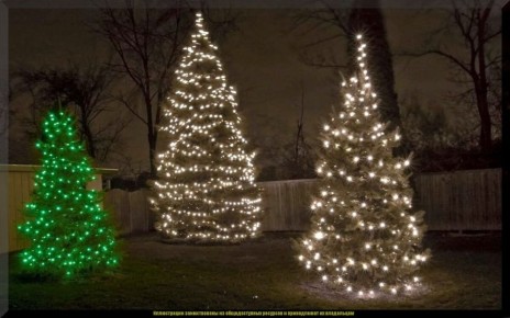 ��� ������� ��������� ��� ��� ����������� ���������� �� ����� �������