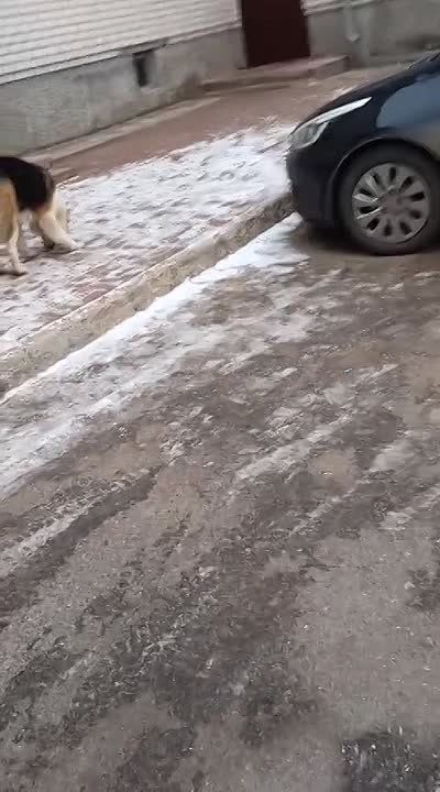 �� ���� �������� ����������� ����������� ��� ������� � ������ ���������� ��������� ������� ������� ����������� ���������� ����� � ������� 120 ����� ������