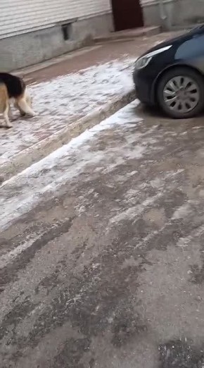 �� ���� �������� ����������� ����������� ��� ������� � ������ ���������� ��������� ������� ������� ����������� ���������� ����� � ������� 120 ����� ������