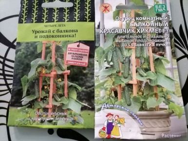 ���������� �� ����: ��� ������ �� ����������� ���������� �����������