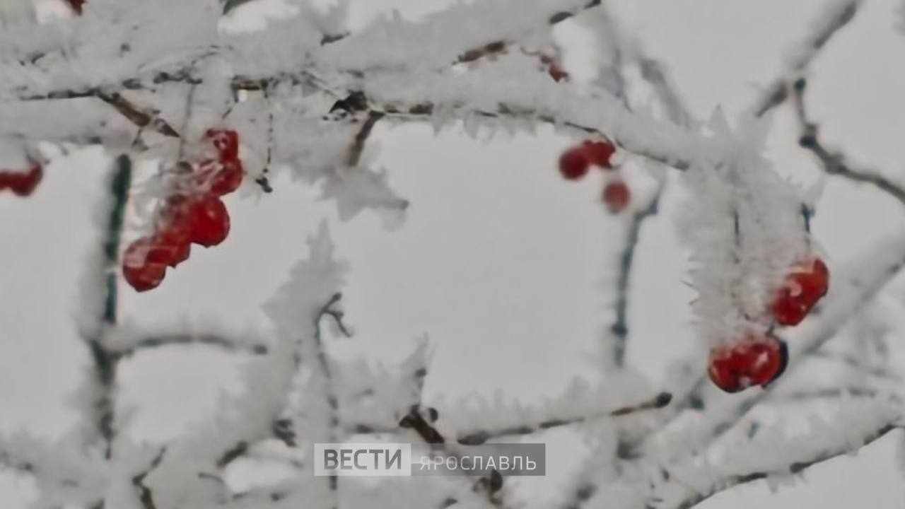С добрым снежным утром, Ярославль!