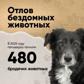 � ������� ���� ��������� ������ ������ 480 ��������� �������� ����������� �������