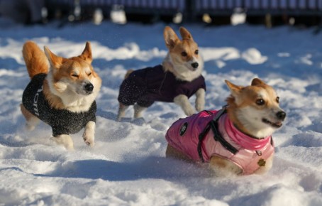 ����� ������� ���������� �������� ������� �������� ������� �������