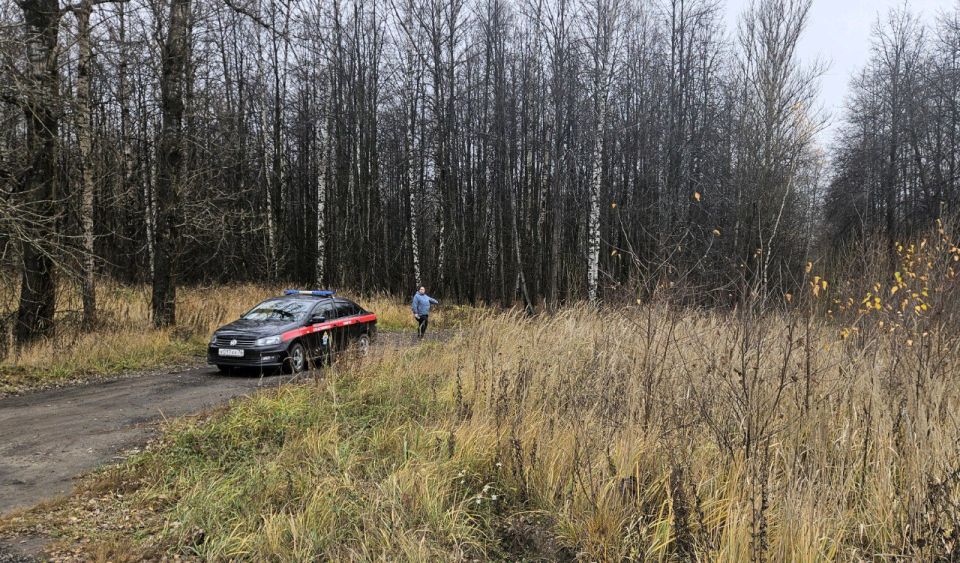 ������ ��������� ������� ���������� ����� ����� �� ���������� � 2017 ���� �������� � ������ ���������