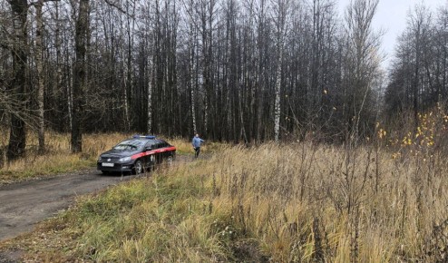 ������ ��������� ������� ���������� ����� ����� �� ���������� � 2017 ���� �������� � ������ ���������