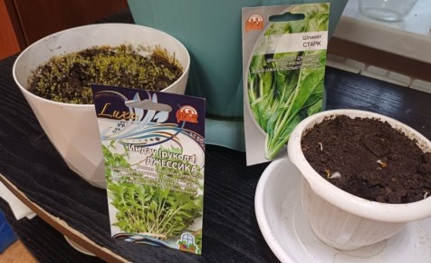 ������ �� �����������: �������������� ���� ��� ��������� �������