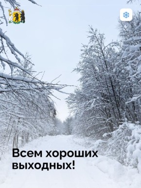 ������� ������ �������� � �����