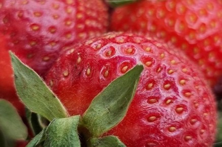 ���������� �������� ������ �������, ���� �������� � ��� ���: ������ ����