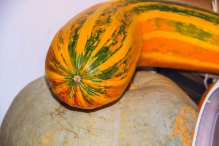 ��������� ������� � ���������: ����� �� ����� �� ���������