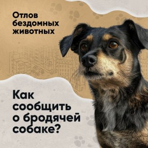 �� �������� ����� ���������� ��������� ������