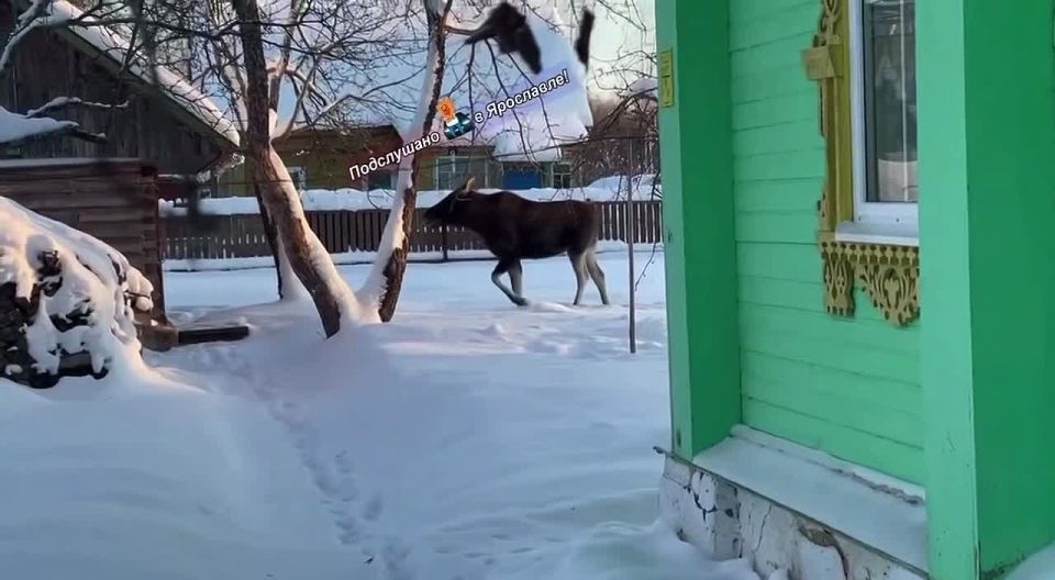 ����� � ����� ������������