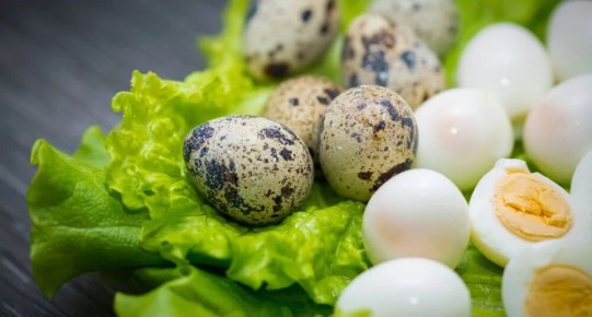 ��� ��������� ������, ��������� � ������� ����������� ����