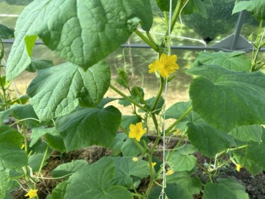 ������ ���� ������ �����: �������� ������ ��� ������� �����