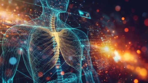 ������� ���������: ���� �������������� � ������ ������������� �������